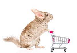 We did not find results for: Chinchilla Costs And How To Account For Them