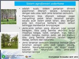 Tumpang sari tembakau dan kubis. Agroforestry 1 Bahan Kuliah Pertanian Terpadu Ppt Download