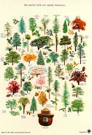 Pin Di Gardening