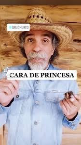 Olivia Alva (ethanfayett)