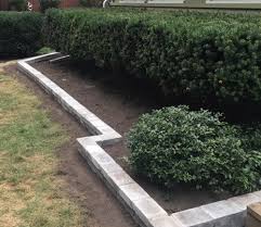 Wholesale pricing · unbeatable prices · online since 2002 Can I Keep A Boxwood Really Small By Trimming It