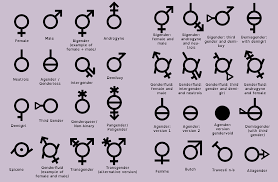 The Gender Diagram Looks Like A New Diep Io Update With