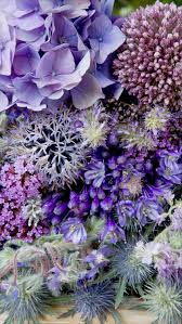 Free Floral Phone Wallpapers Flower Phone Background 845x1500 Download Hd Wallpaper Wallpapertip Download them for free for your iphone, android, laptop, desktop pc, and tablet. free floral phone wallpapers flower
