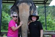 Elephant Jungle Sanctuary Phuket - 31 12 2023 Half Day Afternoon ...