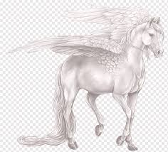 Cat hind and forepaws are different, just like your hands and feet. Pegasus Unicorn Horse Centaur Legendary Creature White Unicorn Fictional Character Desktop Wallpaper Tail Png Pngwing