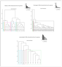 Image result for Vernonia congolensis