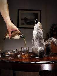 Beer Served In Dead Squirrels Taxidermy Beer Packaging Beer