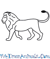 Use a curved line to enclose the opposite ear. How To Draw A Lion