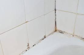 While the filmy deposits themselves are not harmful, they provide a great environment for bacteria and germs to flourish. How To Remove Mold From Shower Caulking Home Like You Mean It