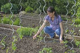 Hallo, wir bauen gerade, demnächst wir erhoffen uns vom bewässerungssystem, dass wir uns um die bewässerung des gartens auch bei. Automatische Bewasserungssysteme Mein Schoner Garten