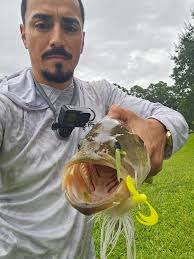 bass fishing with healthy fish