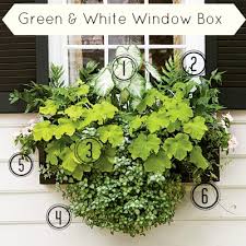 Growneer 3 packs 17 x 7.2 x 6.7 inches green flower window boxes plastic vegetable planters. Green And White Window Box Inspiration Cottage And Vine