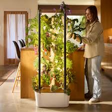Smart Indoor Garden Systems: The Ultimate Buying Guide