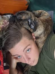 Do Staffy dogs understand personal space?