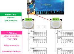 .various error codes when they flashing their idevice in itunes or 3utools, here 3utools summarizes some common error codes for you(some with solutions), so that users know why the error arises and solve the error effectively. Evaluation Of Detection Probabilities At The Water Filtering And Initial Pcr Steps In Environmental Dna Metabarcoding Using A Multispecies Site Occupancy Model Scientific Reports