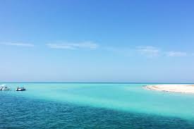 Looking for a beach hotels in tunisia from $20? Beaches Of Djerba Island Tunisia Photos Rooms And Prices For Hotels Near The Beach On Hotelfriend