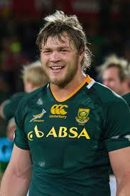 Duane Vermeulen Wikipedia