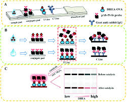 What is the transmittance expected for a sample solution of twice the concentration of the first sample? A Pt Ir Nanocube Amplified Lateral Flow Immunoassay For Dehydroepiandrosterone Analyst Rsc Publishing Doi 10 1039 D0an02293d