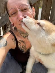 Has anyone registered a dog as a service dog?