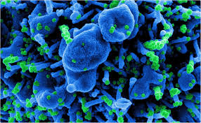 A display shows vaccine china's reversal will bolster the multilateral effort. Qjtpw3h8wspjpm