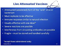 Department of health sciences, university of genoa potential live attenuated vaccines. Principles Of Immunization Dr Salwa A Tayel Prof