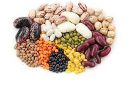 Image result for Adenodolichos