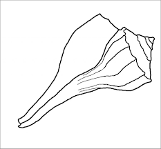Print oyster coloring page (b/w). Seashell Coloring Page For Kindergarten Coloringbay