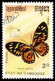 Stamp Cambodia 1989 Papilio Zagreus Butterfly Stamp Stamp Postal Stamps