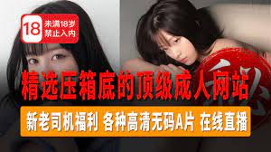 在线成人网址
