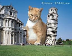 They Might Be Giants You Probably Get That A Lot This Guy Photoshops Cats Into Giants And The Result Is Meow Nificent Cats Giant Cat Photoshopped Animals