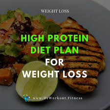 high protein diet plan for weight loss dr workout