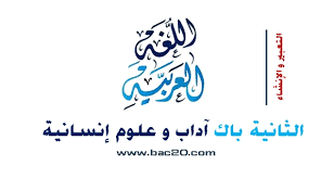 مهارة كتابة إنشاء أدبي حول قضية أدبية نص نظري