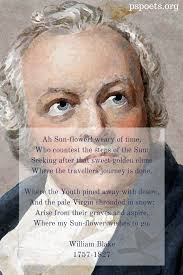 Sunflower Poem William Blake Philosopher S Stone Poetry Nature Poems Romanticism 18th Century Nature Poem Sunflower Poem Romanticism