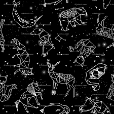 This App Is Basically An Astronomer At Your Fingertips Constellations Art Astronomy