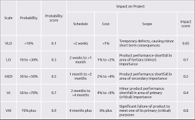 Probability Impact Assessment Praxis Framework