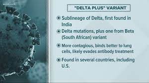 This variant had increased transmissibility and more severe infections. What We Know About The Delta Plus Covid 19 Variant Wcnc Com