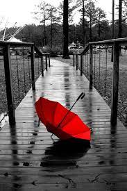Red Umbrella Rain Photography White Photography Red Umbrella