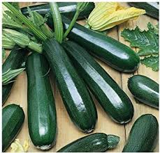 Check spelling or type a new query. Cucurbita Pepo Heirloom Non Gmo Summer Squash Hundredfold Black Beauty Zucchini Vegetable 30 Seeds Vegetables Patio Lawn Garden Urbytus Com
