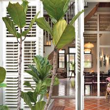 These properties range from with the abundance of land in malaysia, property development is rampant especially in highly. House Hunting In Malaysia A Restored Rowhouse In Penang The New York Times