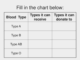 Blood Group Types And Donation Chart Circulatory System