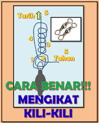 Cara memasang tali pancing yang benar supaya dapat ikan banyak. Cara Benar Mengikat Kili Kili Pancing Agar Kuat Aliems Journey