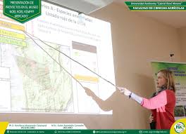 Image result for Anisopappus paucidentatus