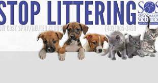 Nebraska Humane Society Nebraska Humane Society Http Www Nehumanesociety Org Site Pageserver Humane Society Your Pet Animals