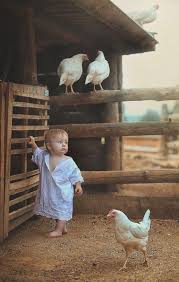 Pin By Munire Hicyilmaz On Arte Cute Kids Animals Farm Lifestyle