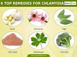 Pin On Home Remedies