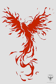 a vector style of my latest phoenix design i will make a different more fantasy version soon the design is ava phoenix artwork phoenix design phoenix tattoo
