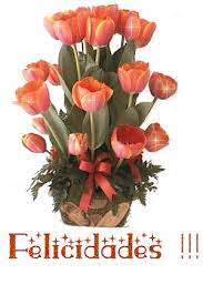 We did not find results for: Feliz Cumpleanos Pagina 49 Feliz Cumpleanos Flores Feliz Cumpleanos Deseos Postales De Feliz Cumpleanos