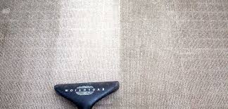 We have an experienced team of pest and termite professionals that are committed to providing you with only the best pest control or. Carpet Cleaning And Pest Control Brisbane All Corners Carpet Cleaning Pest Control