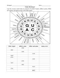 Codon Worksheet 1