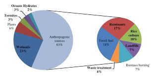 3 Global Sources Of Atmospheric Ch 4 The Left Side Of The